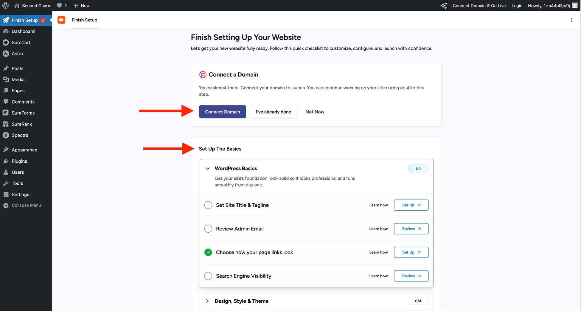 set up website basics